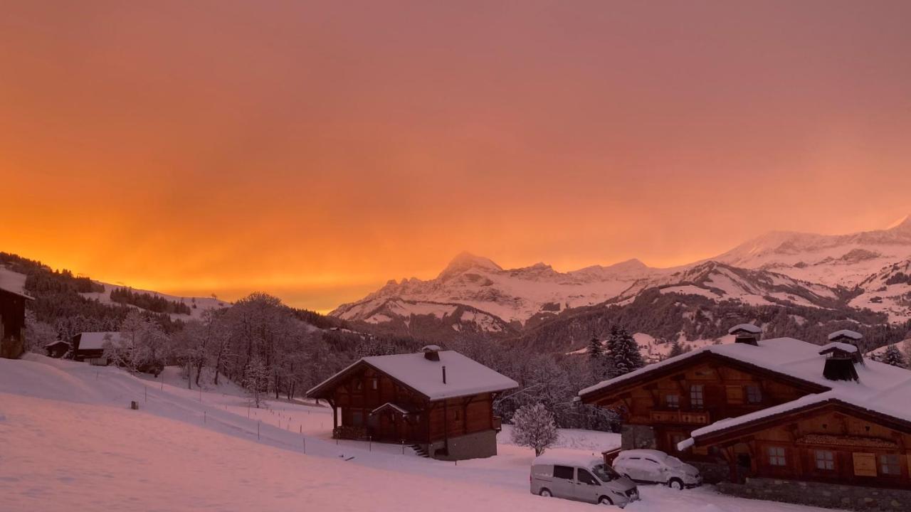 Chalets Savoie Les Chalets D'Heidi Notre-Dame-de-Bellecombe Exterior foto