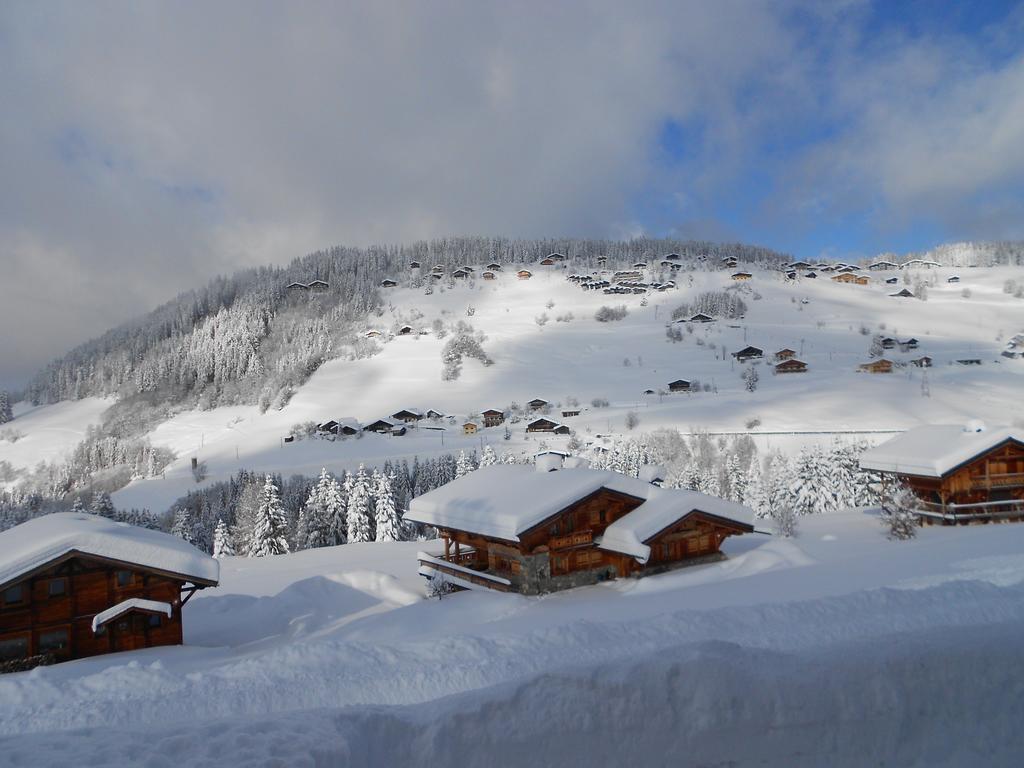 Chalets Savoie Les Chalets D'Heidi Notre-Dame-de-Bellecombe Exterior foto